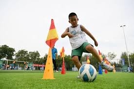 首页功能分区结构